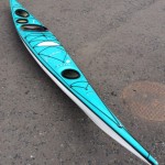 Valley Pintail - Blue